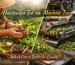 handpicked green tea leaves for premium tea