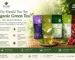 Natural detox organic green tea