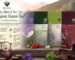 Natural detox organic green tea