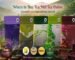 Where to buy Tea Mill tea online – Tea Mill teas available on Instamart, Blinkit, Amazon and Flipkart
