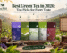 Best green tea in 2026 – Tea Mill green tea varieties for every taste